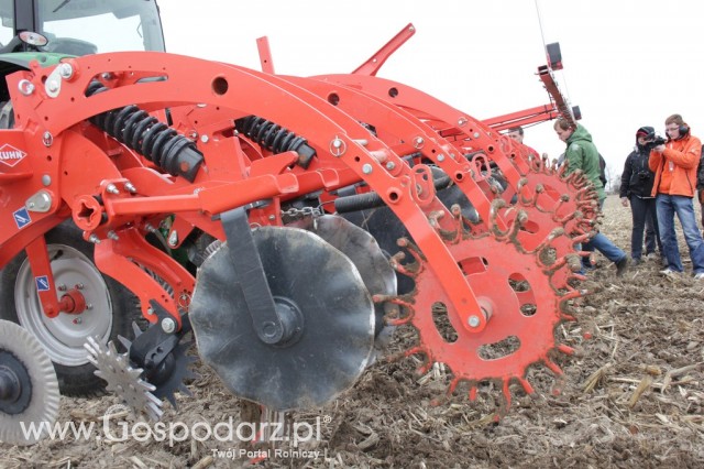 Kultywator STRIGER do uprawy pasowej - 19