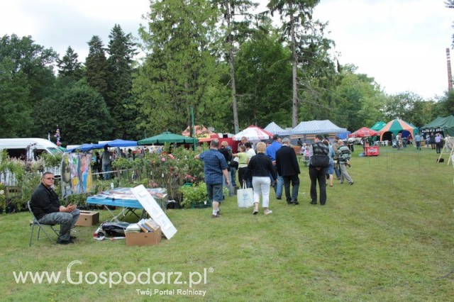 XX Targi Rolnicze Lubniewice