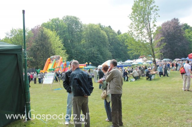 XX Targi Rolnicze Lubniewice 