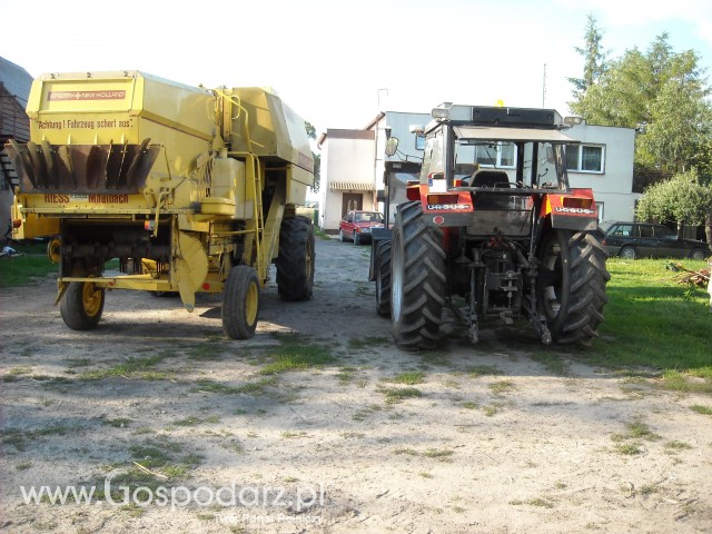 New Holland 8030 i Ursus 1014 de lux od tyłu;)