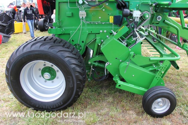 McHALE Polskie Zboża Zielone Agroshow - 8