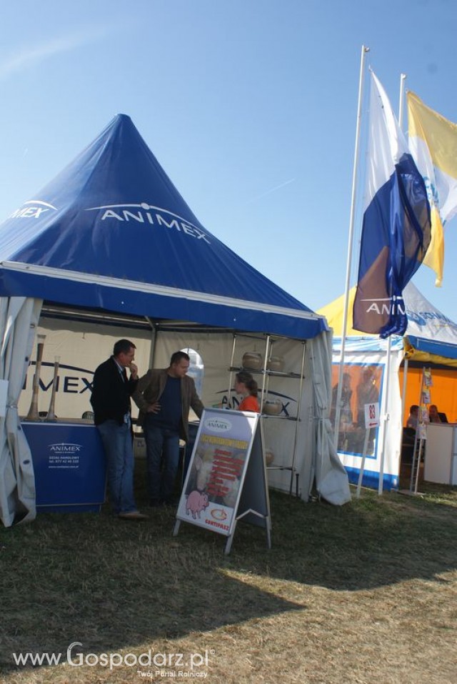 Zdj. - 460 - Animex Sp. z o.o.