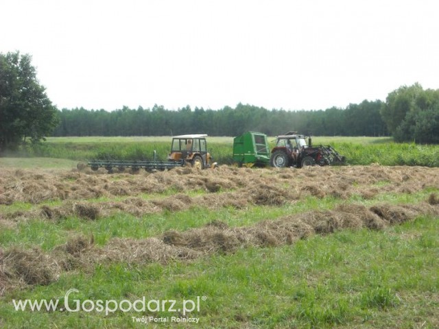 zbieranie siana