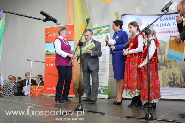 XV Spotkania Tradycji Wielkanocnych Ziemi Kłodzkiej - 21