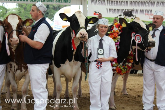 Prezentacja Championów na VII Ogólnopolskiej Wystawie Bydła Hodowlanego w Sielinku 2012 - 48