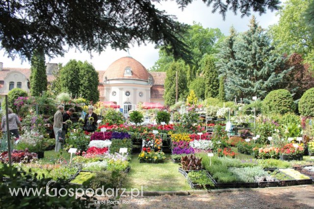 XX Targi Rolnicze Lubniewice