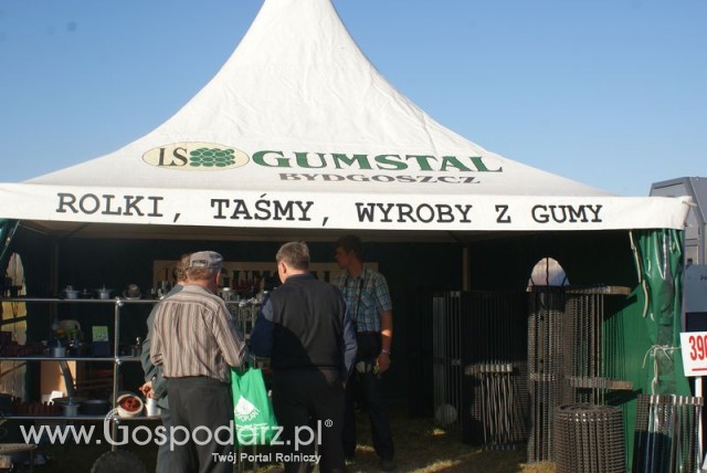 Zdj. - 283 - GUMSTAL Stanisława Lubiszewska