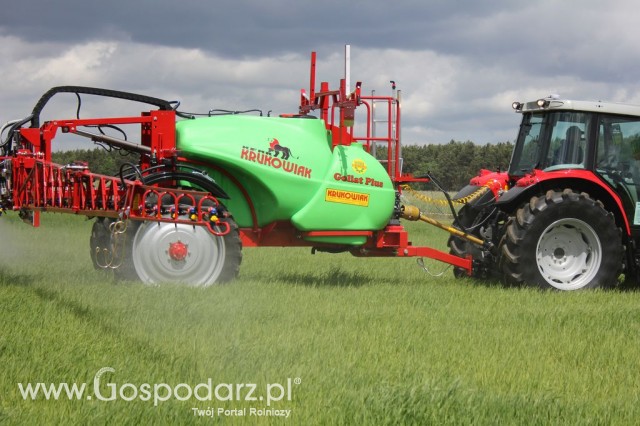 Zielone Agro Show Kąkolewo - Polskie Zboża  - 101