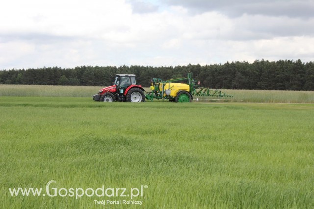 Zielone Agro Show Kąkolewo - Polskie Zboża  - 116