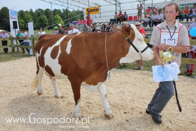 Nagordy dla superchampionów i championów  - 48