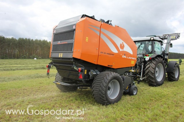Pokazy Maszyn Polskie Zboża Zielone Agroshow 2012  - 92