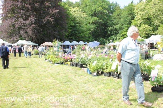 XX Targi Rolnicze Lubniewice