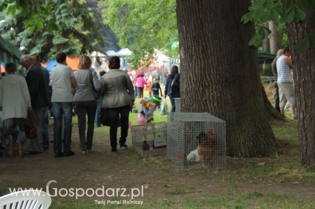 XX Targi Rolnicze Lubniewice 