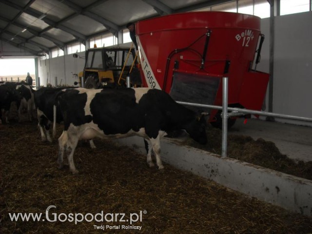 Ursus c385 + paszowóz Metal-Fach akcja pasza