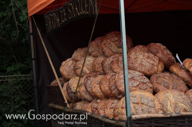 XX Targi Rolnicze Lubniewice