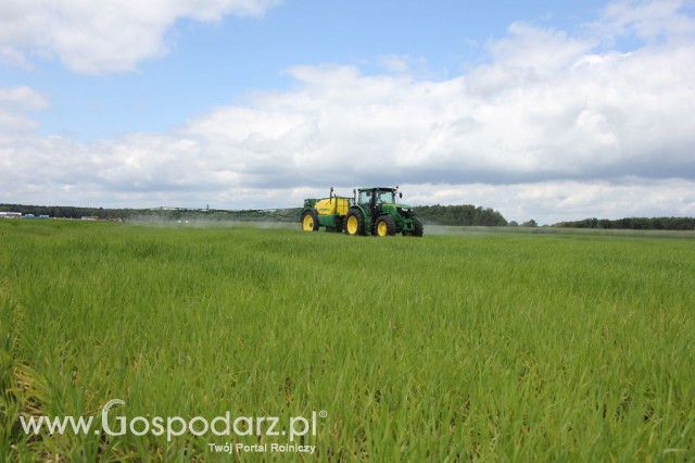 Zielone Agro Show Kąkolewo - Polskie Zboża  - 49