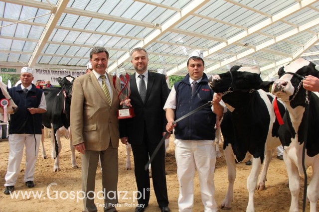 VII Ogólnopolska Wystawa Bydła Hodowlanego - 69
