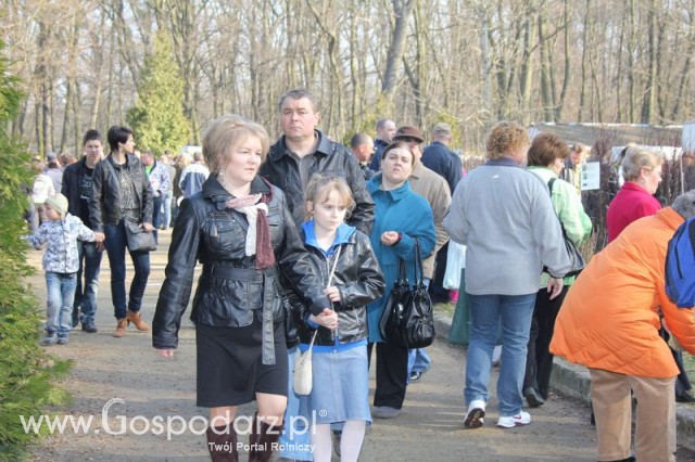 Foto reportaż z Targów Rolno-Ogrodnicze AGROMARSZ Marszew 2011