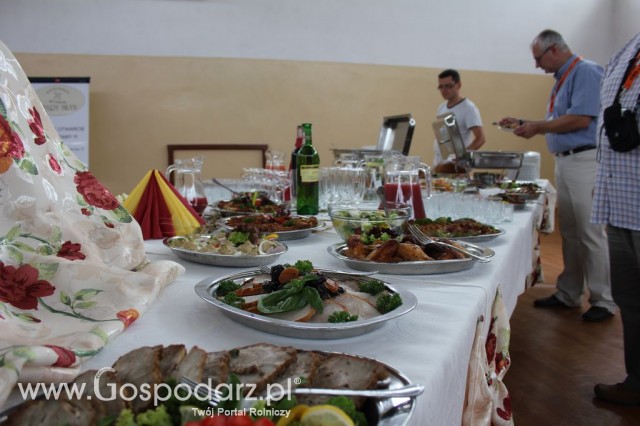 Festiwal Wieprzowiny w Bełżycach - 78