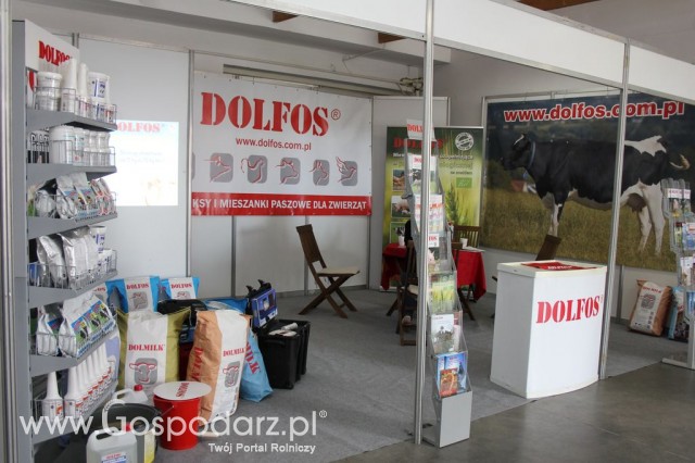 VII Ogólnopolska Wystawa Bydła Hodowlanego - 116