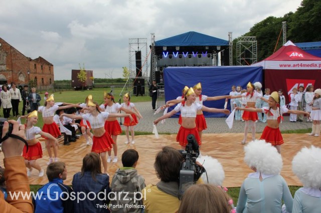 Występy artystyczne odbywające się podczas Dni Indyka