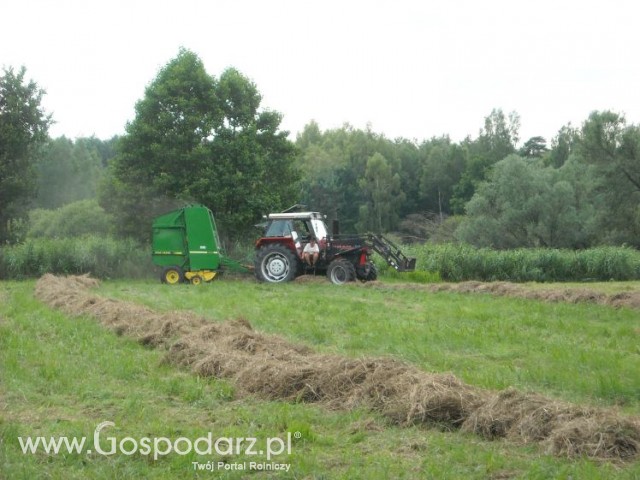 zbieranie siana
