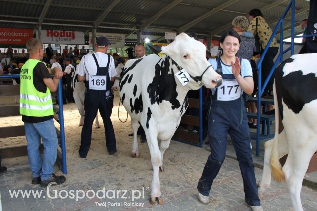 Bydło - Szepietowo 2012 XIX Regionalna Wystawa Zwierząt Hodowlanych - 68