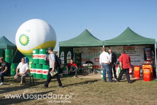 Zdj. - 156 - Sigma Sp. z o.o. 