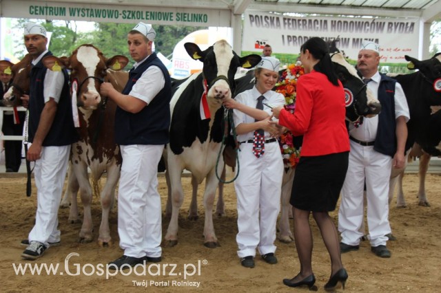 Prezentacja Championów na VII Ogólnopolskiej Wystawie Bydła Hodowlanego w Sielinku 2012 - 47