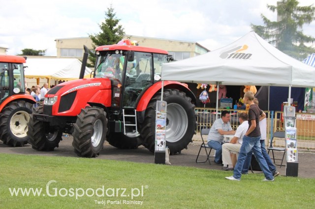 Festiwal Wieprzowiny w Bełżycach - 31
