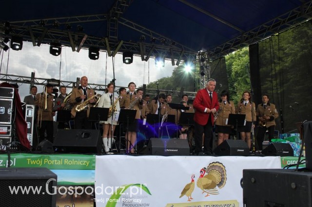 Występy artystyczne odbywające się podczas Dni Indyka