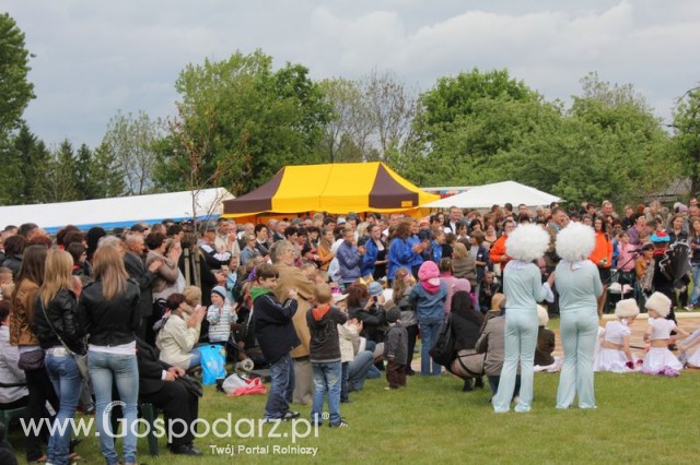 Występy artystyczne odbywające się podczas Dni Indyka