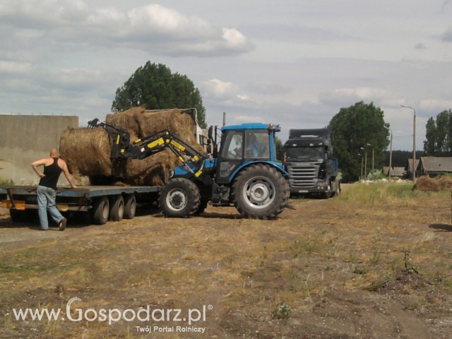 załadunek bel siana na tira 