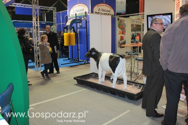 Fotoreportaż  z XI Międzynarodowych Targów Fermy Bydła