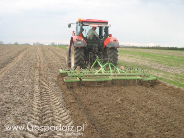 Uprawa pod ziemniaki.