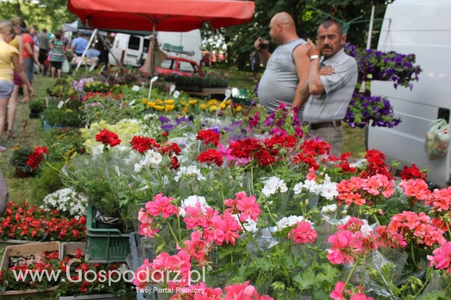 XXII Targi Rolniczo-Ogrodnicze Kościerzyn 2012 - 117