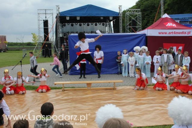 Występy artystyczne odbywające się podczas Dni Indyka