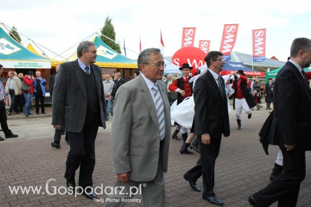 VII Ogólnopolska Wystawa Bydła Hodowlanego - 28