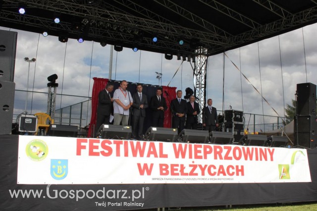 Festiwal Wieprzowiny w Bełżycach - 60