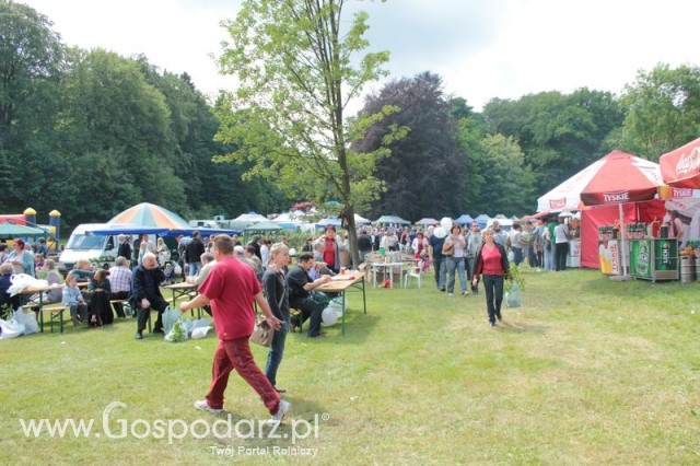 XX Targi Rolnicze Lubniewice 