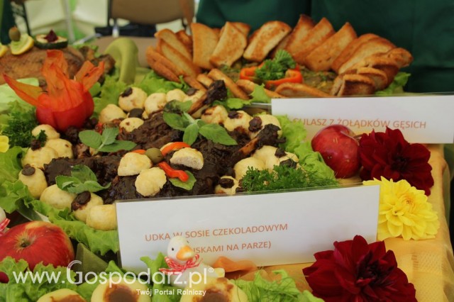 IX Święto Gęsi w Biskupcu - 71