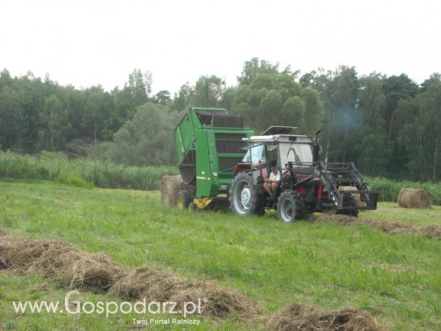 zbieranie siana