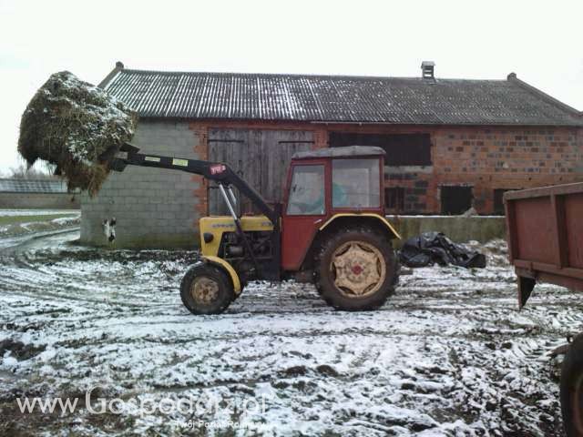 U-R-S-U-S C 330 + tur