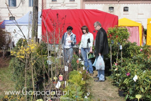 Fotoreportaż z XX Agro-Targów 2011 w Starej Łubiance
