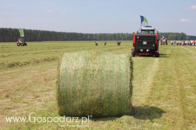 Zielone Agro Show pokaz maszyn rolniczych