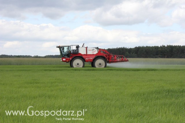 Zielone Agro Show Kąkolewo - Polskie Zboża  - 124