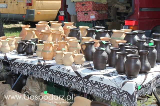Fotoreportaż z XX Agro-Targów 2011 w Starej Łubiance