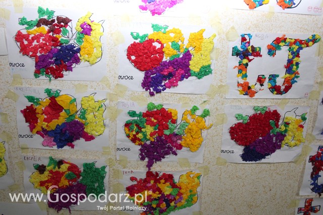 „Owoce w szkole” Samorządowa Szkoła Podstawowa w Kaczanowie