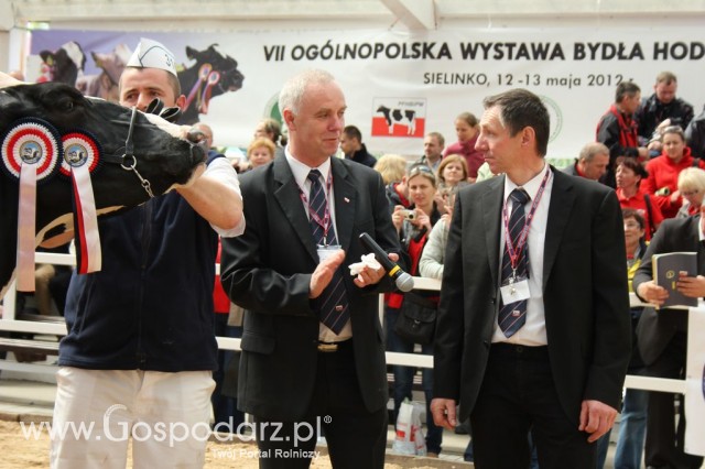 VII Ogólnopolska Wystawa Bydła Hodowlanego - 20