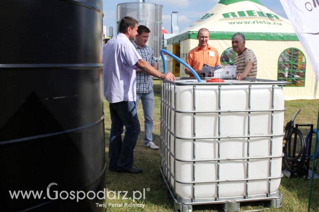 Swimer - Opolagra 2012 - 6